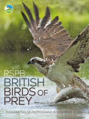 cover image of RSPB British Birds of Prey